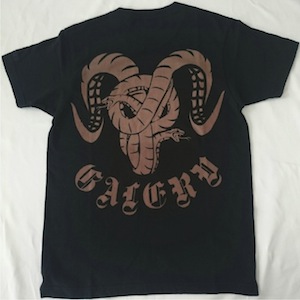 Ｔシャツ